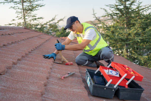 Best New Roof Installation  in Arapahoe, WY